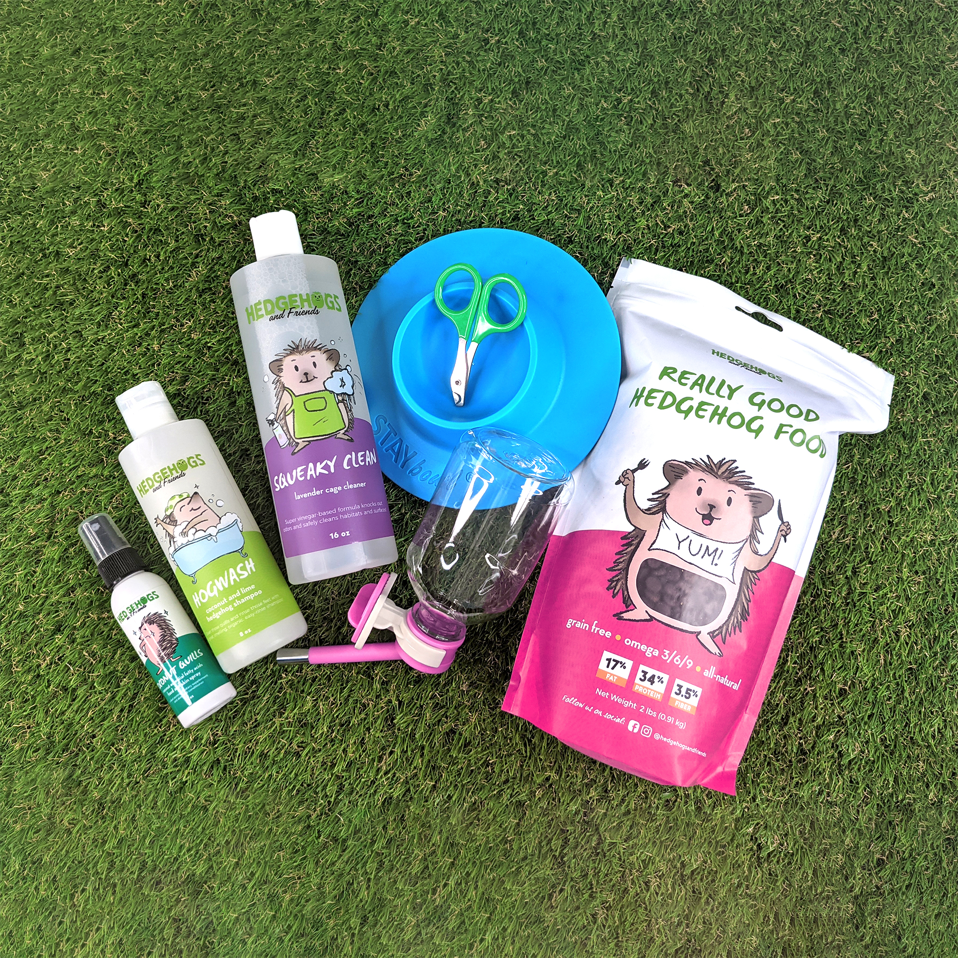 Hedgie Starter Pack + Coconut Quills