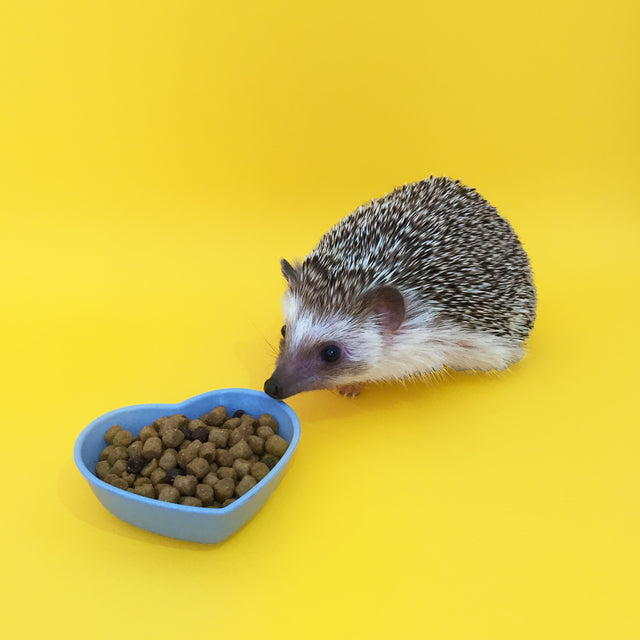 Small Heart-Shaped Food Bowl