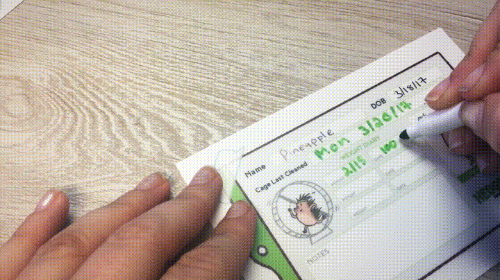 Hedgehog Cage Label Sticker - Pack of Three