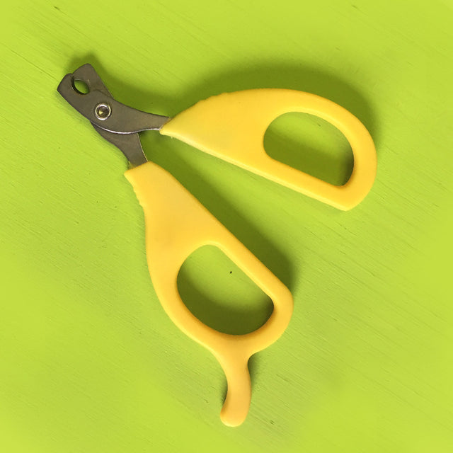 Hedgehog or Small Animal Nail Trimmers