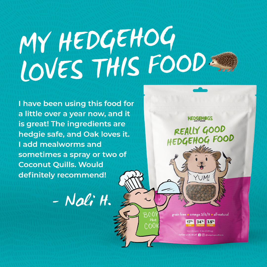 Hedgehog Food and Coconut Quills Bundle