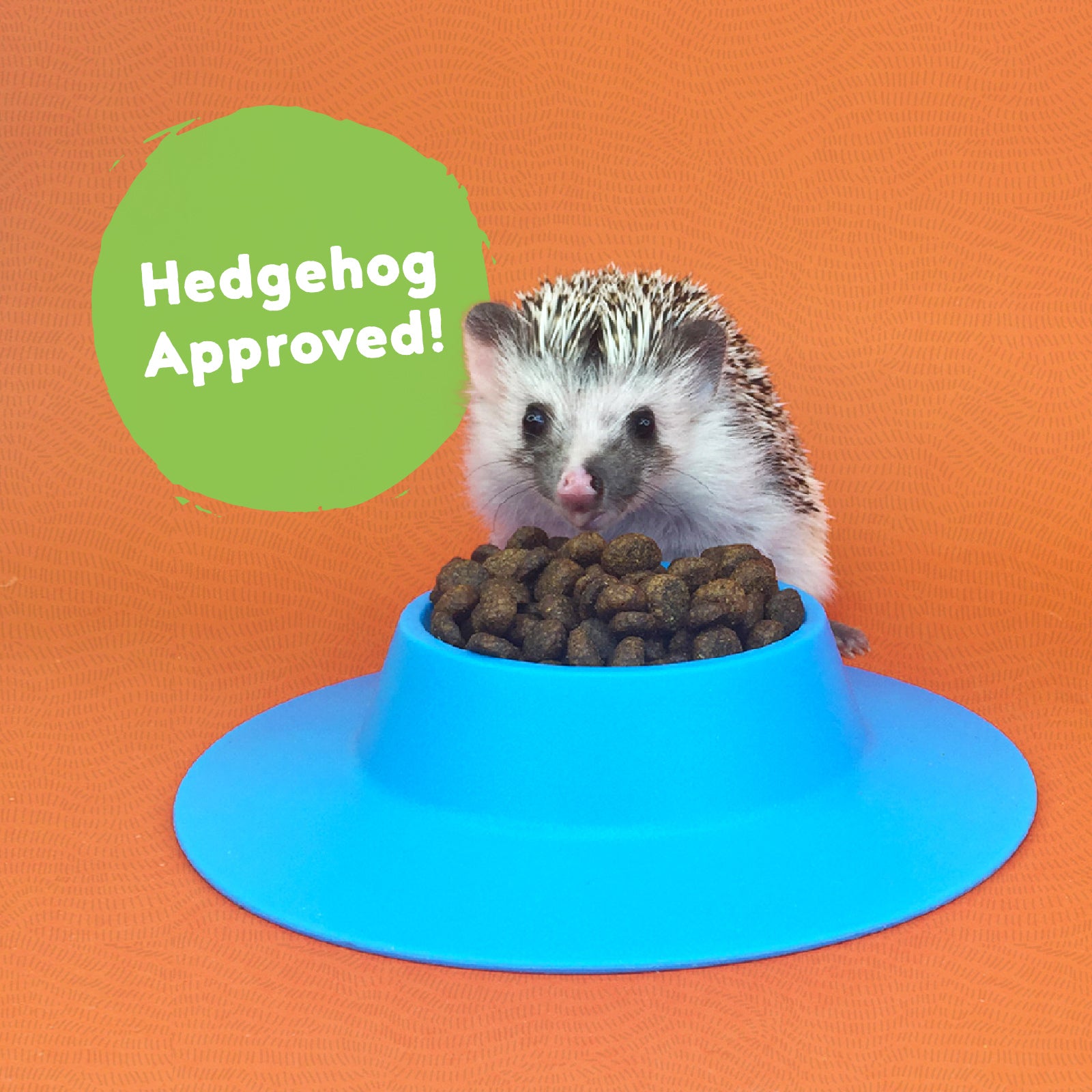 Really Good Hedgehog Food