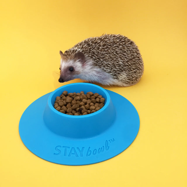 STAYbowl® Tip-proof Food Bowl