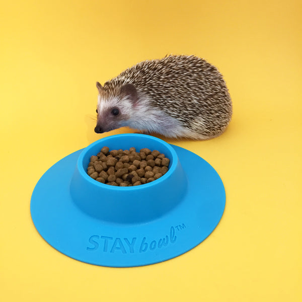 {product.title}
