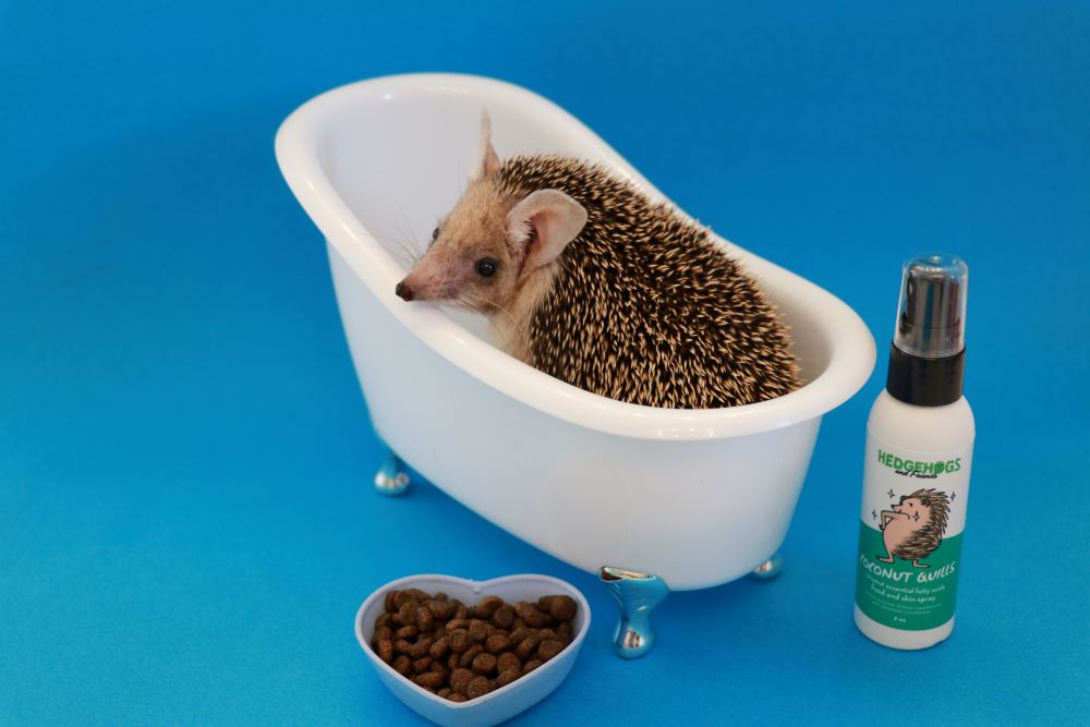Have a Hedgie Spa Day!