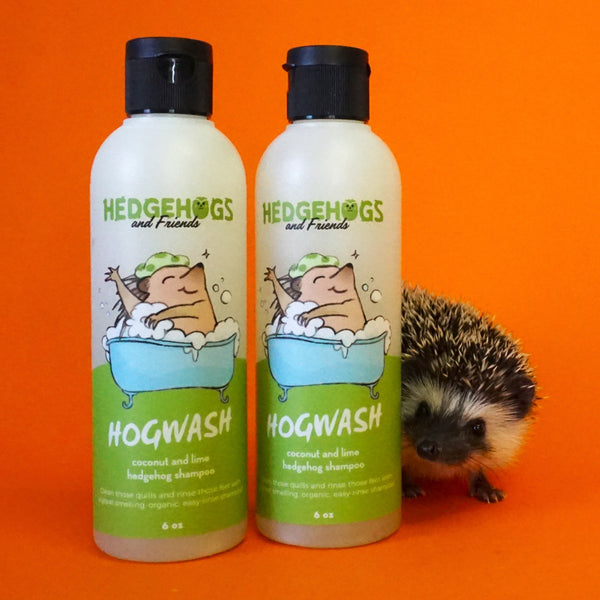 How to Bathe a Hedgehog