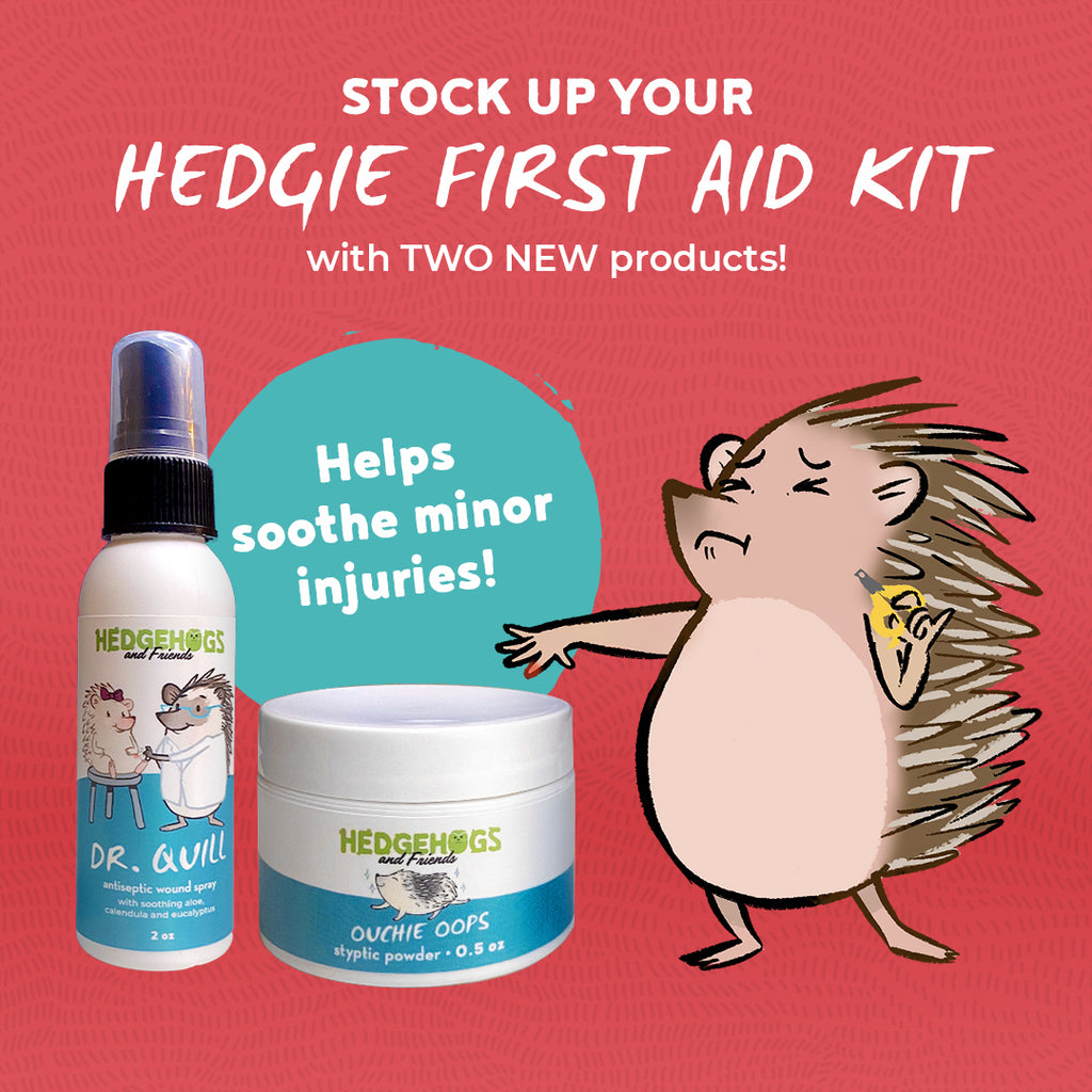 How to Care for Minor Wounds and Injuries on Your Hedgehog