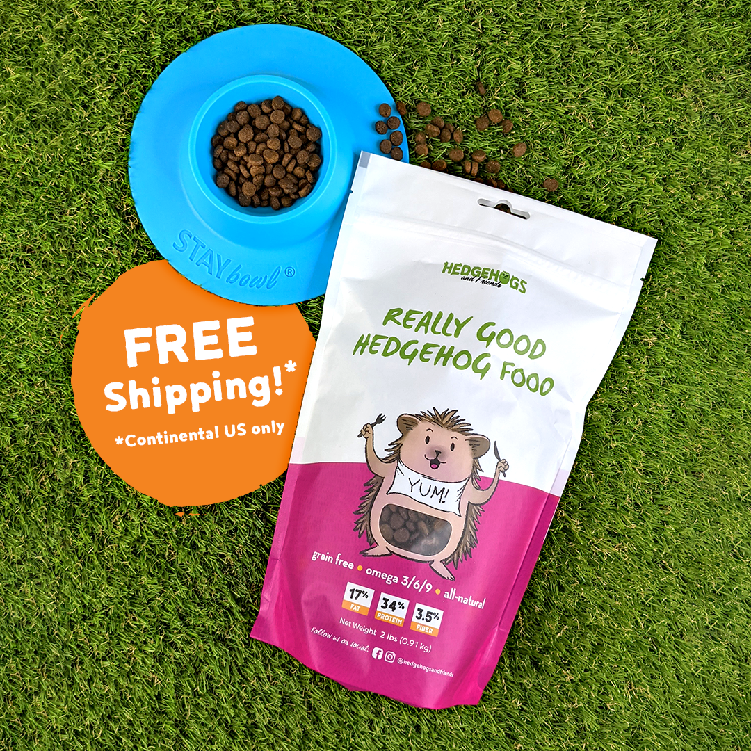 Good cat sales food for hedgehogs