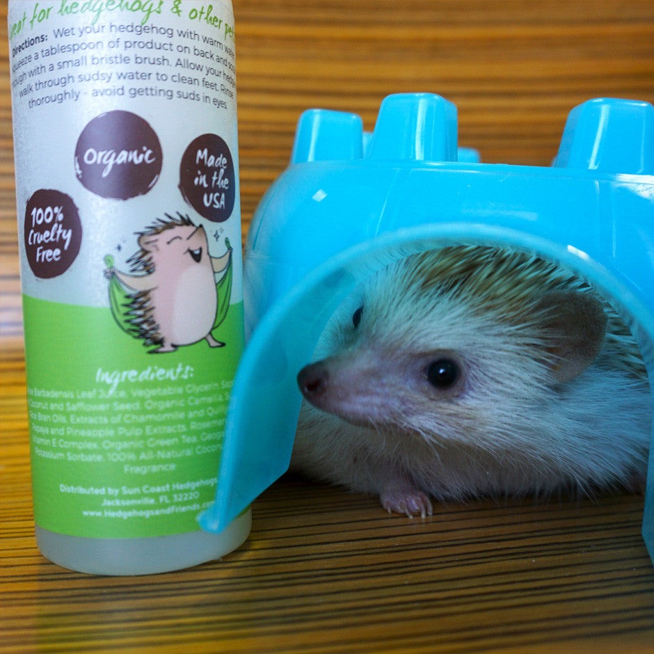 Hogwash Coconut Lime Hedgehog Shampoo - 16oz