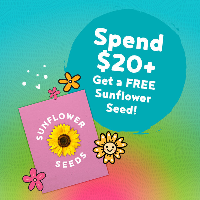 Hedgehog Flower Farm Free Sunflower Seed